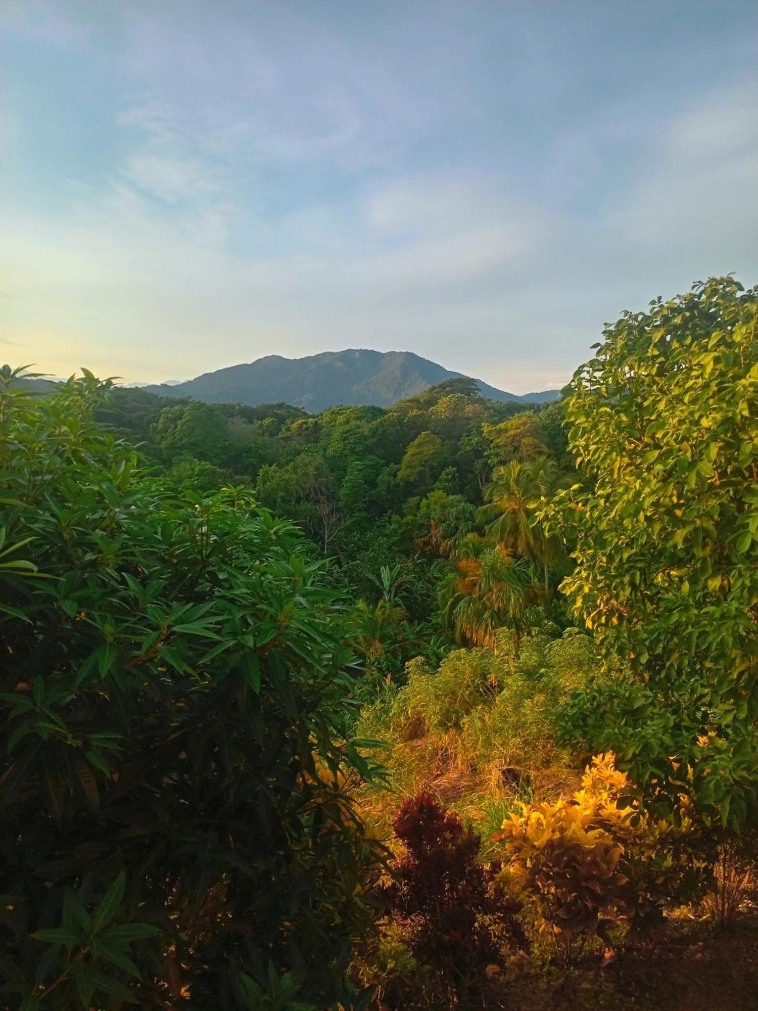 Casa Tolosa Tayrona, Los Cocos La Poza Kültér fotó